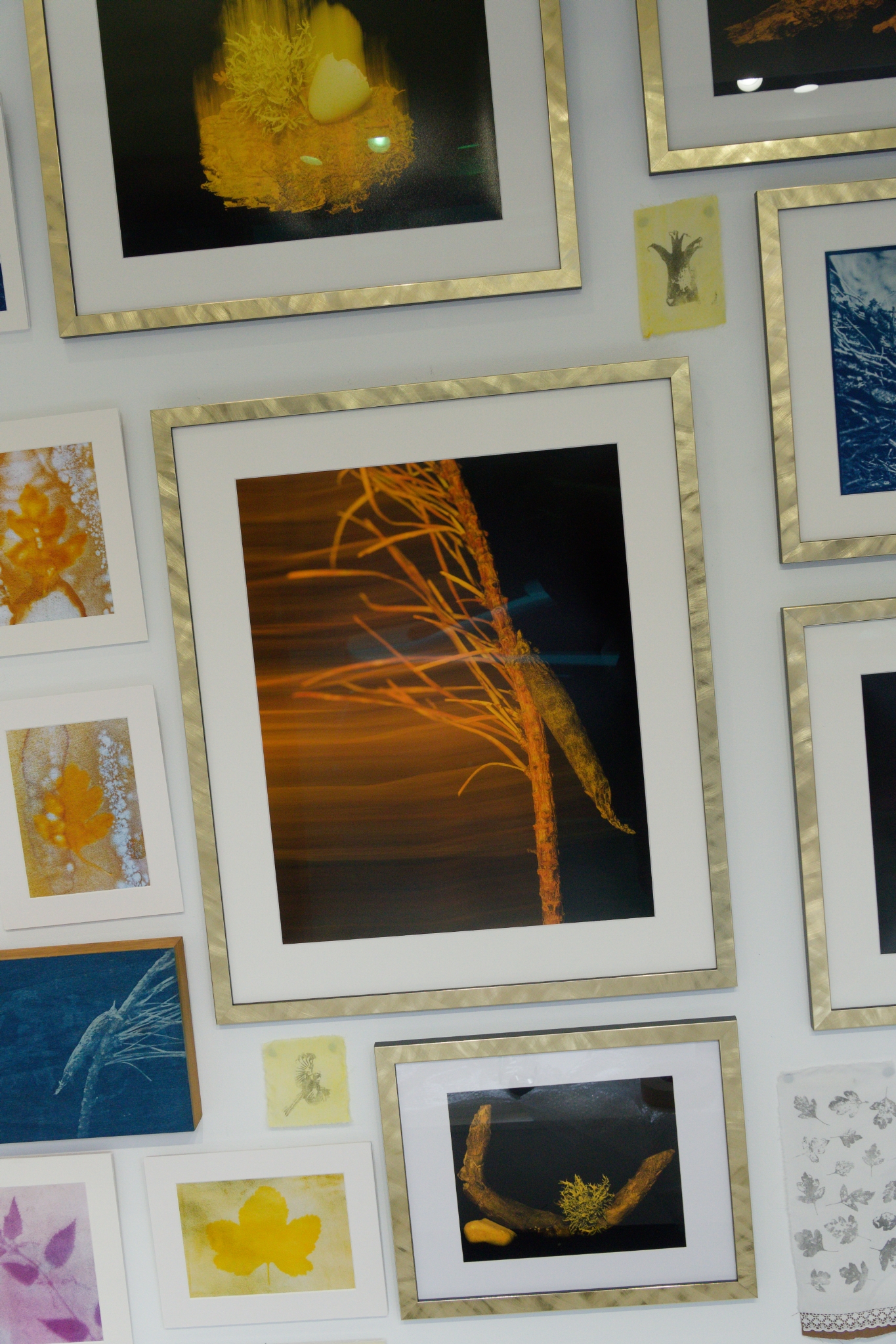 I Found it in the Forest 2 I Found it in the Forest 2